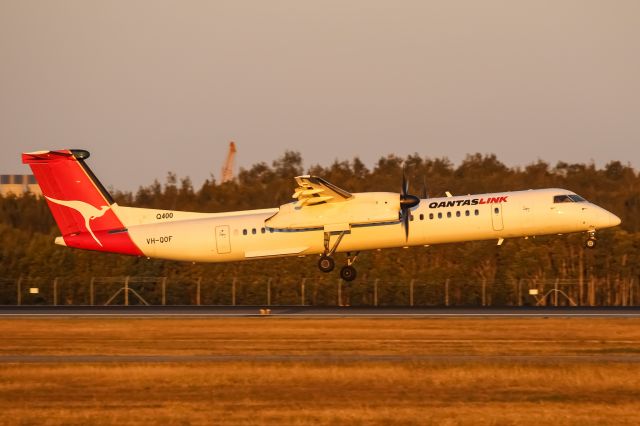 de Havilland Dash 8-400 (VH-QOF)