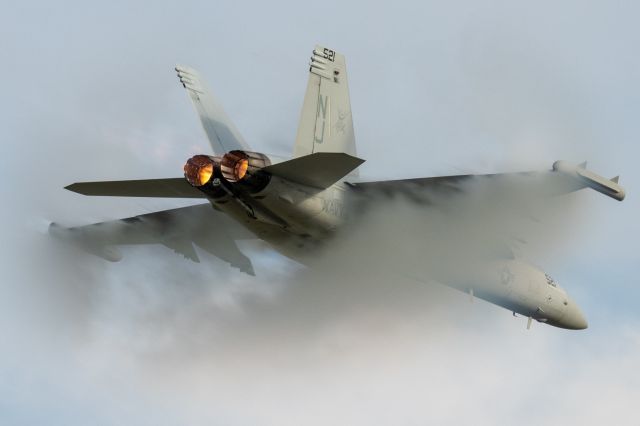 McDonnell Douglas FA-18 Hornet —