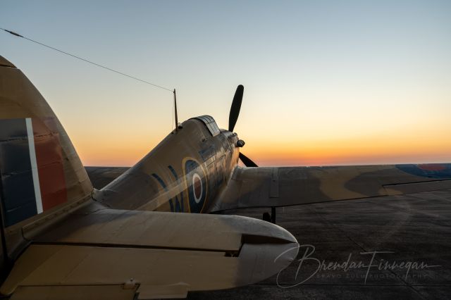 Hawker Sea Hurricane (N96RW) - Hawker Hurricane Mk XII soaking up the dawn light on 8 October 2021 before Wings Over Houston airshow weekend