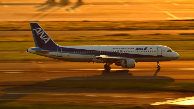 Airbus A320 (JA8394)