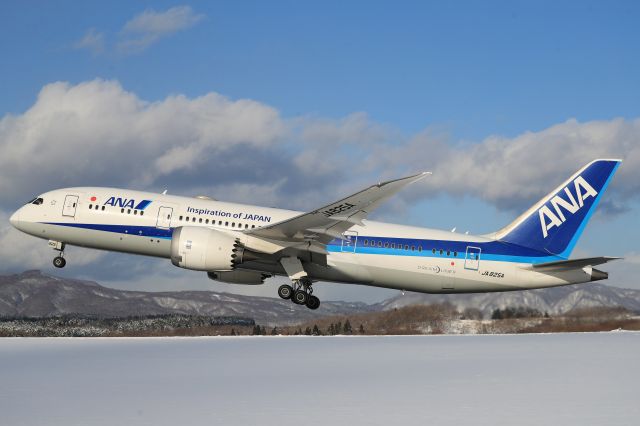 Boeing 787-8 (JA825A) - December 10th 2018:HKD-HND.