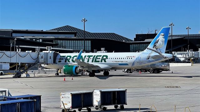 Airbus A320neo (N367FR) - Deboarding from CUN as F9 142.  Austin the Northern Mockingbird would head right back to CUN a few hours later.