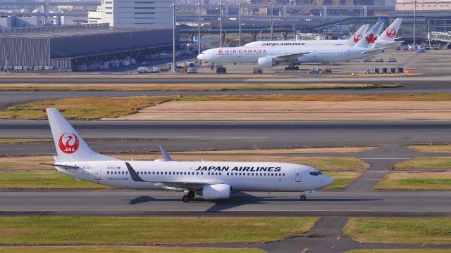 Boeing 737-800 (JA337J)