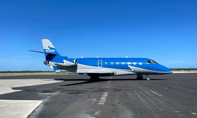 GILES G-200 (N213EP) - Detroit Lions Gulfstream G200