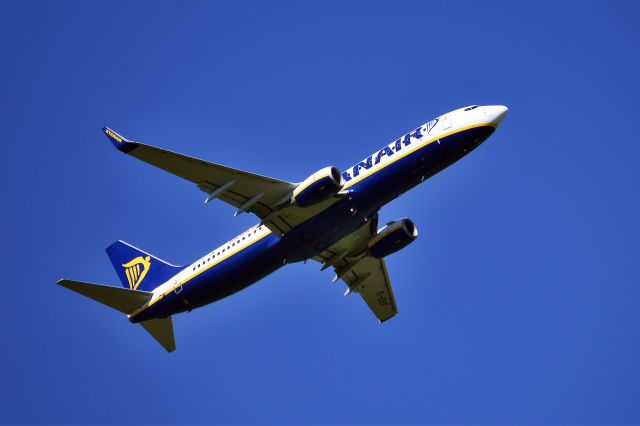 Boeing 737-800 (EI-EVF) - Ryanair - B737-8ASWL (EI-EVF) (Photo May 2017)