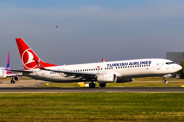 Boeing 737-800 (TC-JVD)