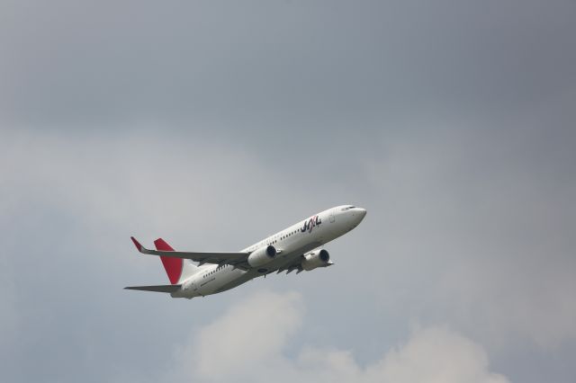 Boeing 737-800 (JA315J)