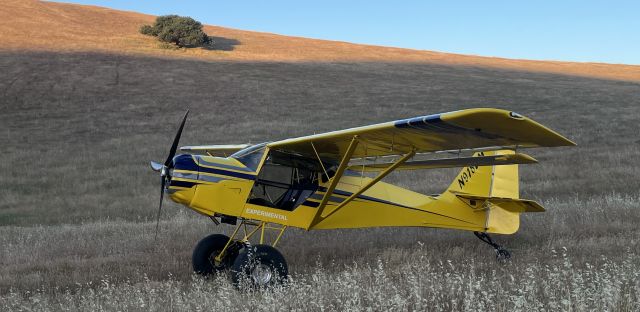 N918DM —