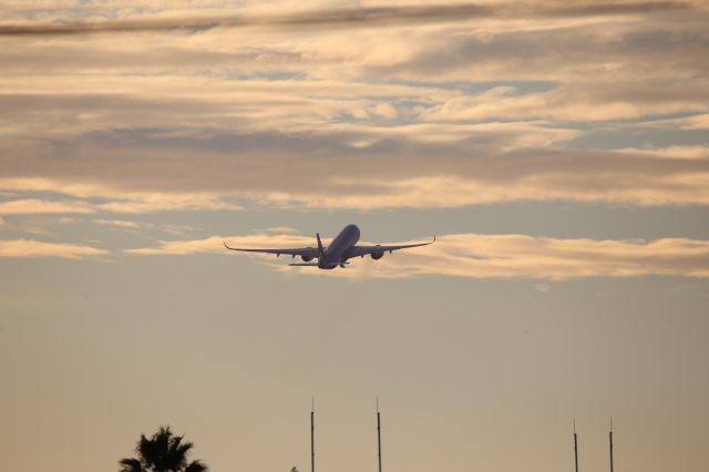 Airbus A350-900 (EI-IFA)