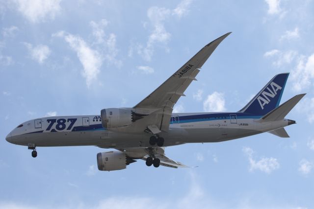 Boeing 787-8 (JA818A) - 07 September 2015:HND-HKD