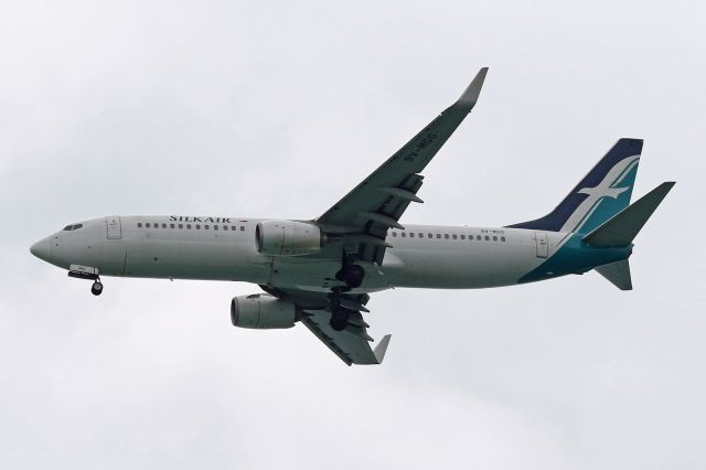 Boeing 737-800 (9V-MGG)