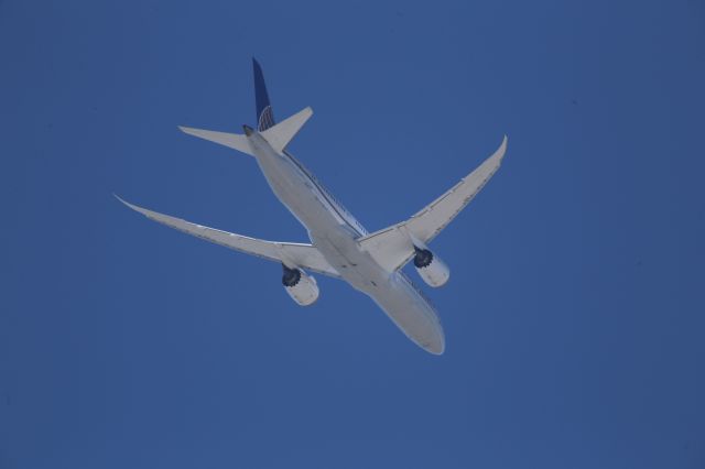 Boeing 787-9 Dreamliner (N38950)