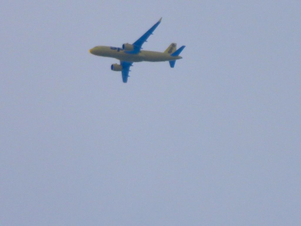 Airbus A320neo (N945NK) - NKS653br /PIT-LAXbr /07/25/22