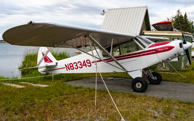Piper L-21 Super Cub (N83349)