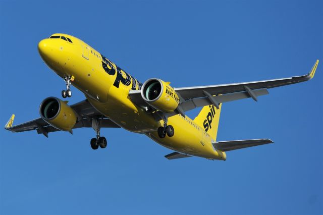 Airbus A320 (N901NK)