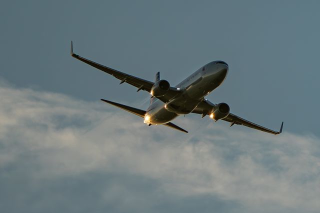 Boeing 737-800 —