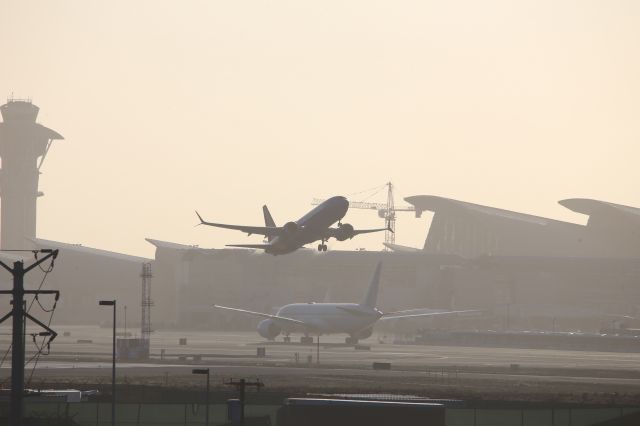 Boeing 737 MAX 8 (N8716B)