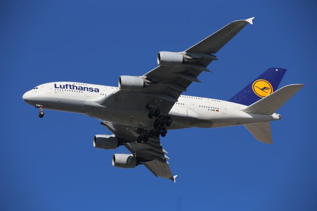 Airbus A380-800 (D-AIMI)