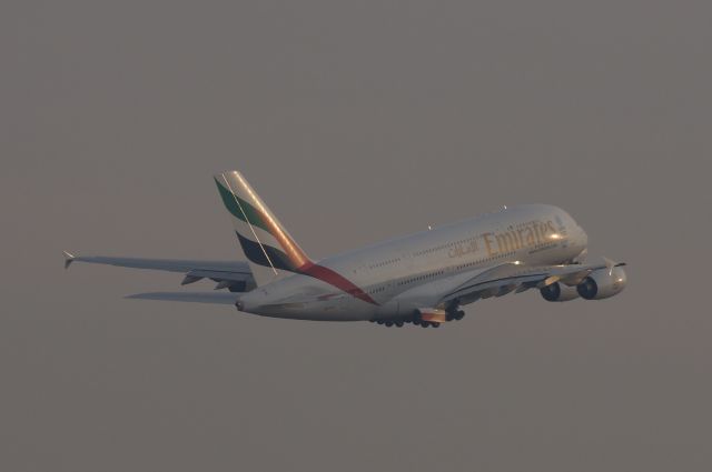 Airbus A380-800 (A6-EEY)