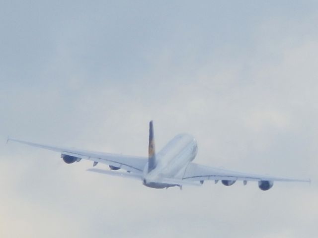 Airbus A380-800 (D-AIMI)