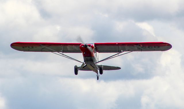 Piper L-21 Super Cub (PU-CCO)