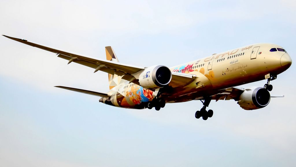 Boeing 787-8 (A6-BLJ)