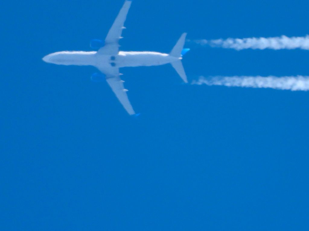 Boeing 737-800 (N17233) - UAL2150br /IAD-PSPbr /04/09/2025