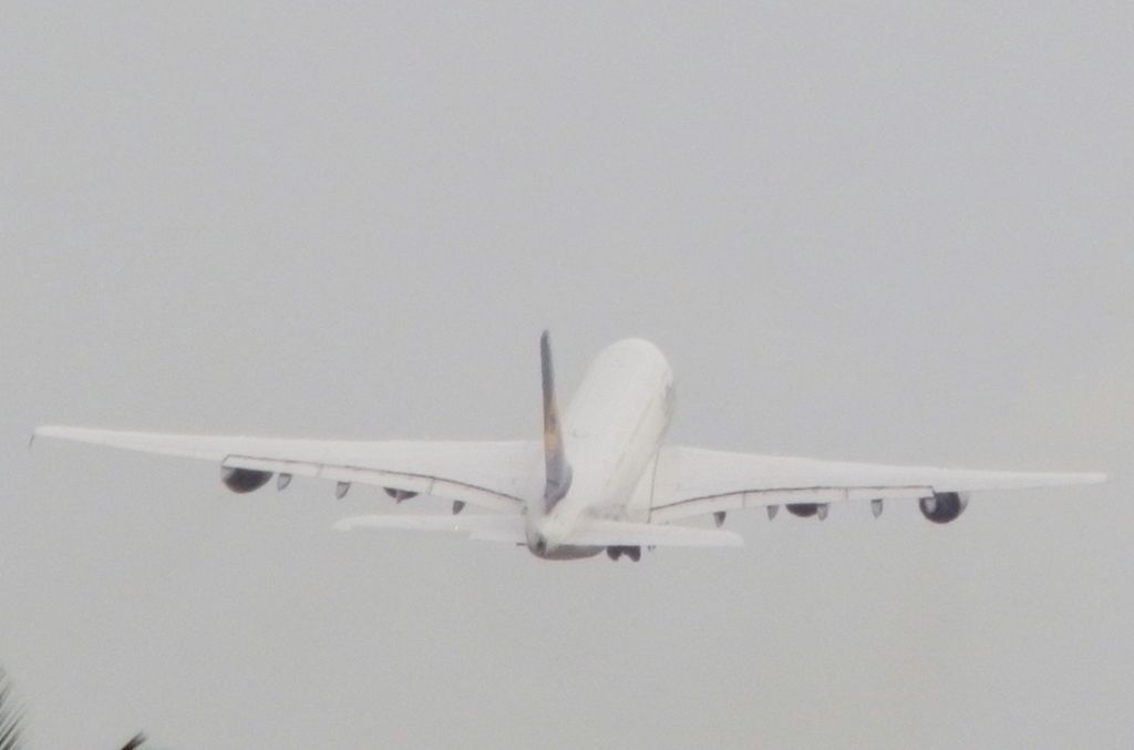 Airbus A380-800 (D-AIMK)