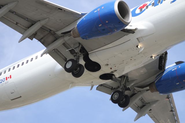 Boeing 737-800 (C-FYQO) - CANJET Belly