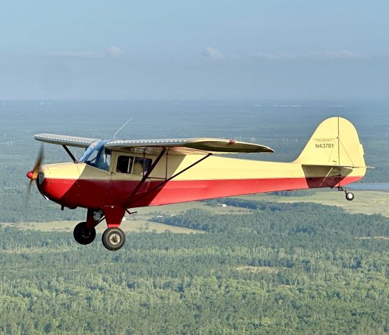 TAYLORCRAFT (1) BL (N43781)