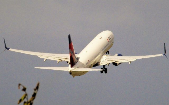 Boeing 737-900 (N881DN)