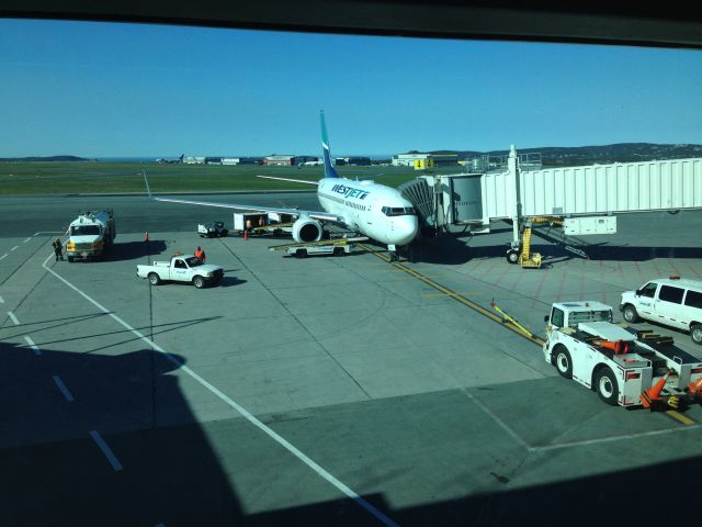 Boeing 737-700 (C-GWSY) - preparing for flight to CYYZ