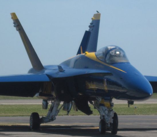 McDonnell Douglas FA-18 Hornet — - Memorial Day Weekend. Airshow at Jones Beach, NY. Notice there is a bird perched atop the Hornets vertical stabilizer. I was glad it remained still until I was able to squeeze-off a shot.