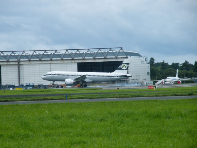 Airbus A320 (EI-DVM) - EI-DVM A320 OF AER LINGUS IN RETRO COLOUR SCHEME TOUCHING DOWN ON RUNWAY 24 ON 28-08-2011