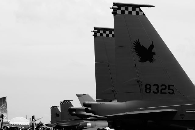 N8325 — - F-15SG Lineup