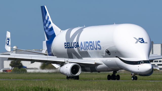 AIRBUS A-330-700 Beluga XL (F-GXLI) - F-GXLI landing runway 07 at LFRZ