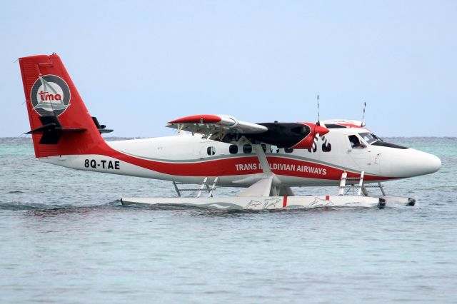 De Havilland Canada Twin Otter (8Q-TAE) - Taxiing for departure at Kanifushi Island on 5-Jan-24 returning to VRMM.