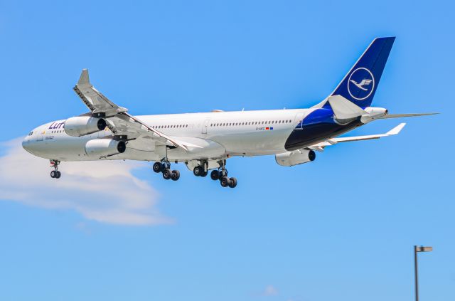 Airbus A340-300 (D-AIFC)