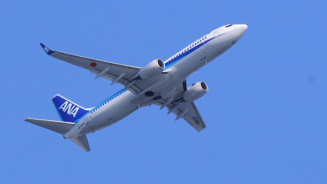 Boeing 737-800 (JA79AN)