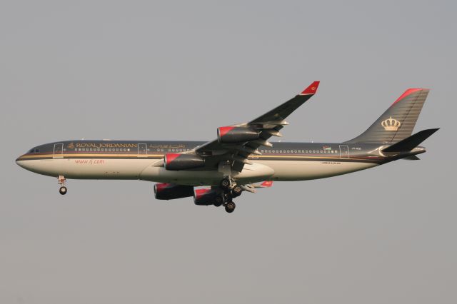 Airbus A340-200 (JY-AID) - Early morning light, arriving from AMM.