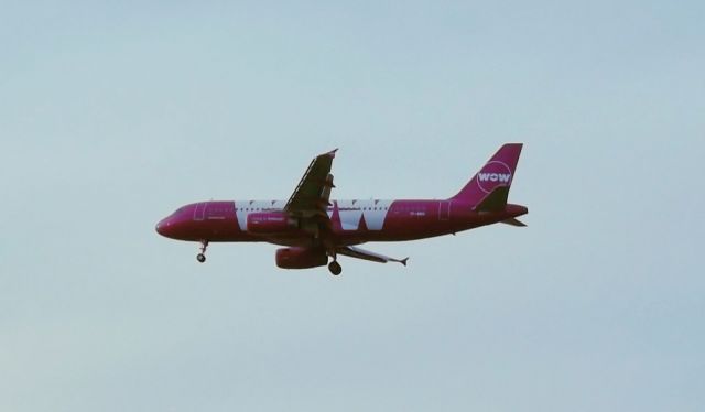 Airbus A320 (TF-BRO) - WOW Air Pink TF-BRO landing 27 in Boston, MA