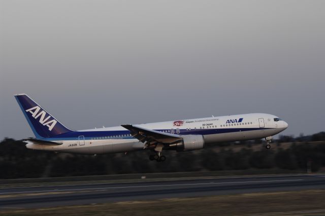 BOEING 767-300 (JA610A) - Landing at NRT Airport Runway 16L on 2011/12/29 Japan Endless Discovery Title