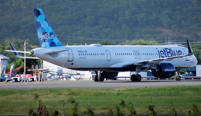 Airbus A321neo (N2060J)