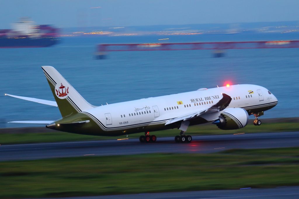 Boeing 787-8 (V8-OAS)