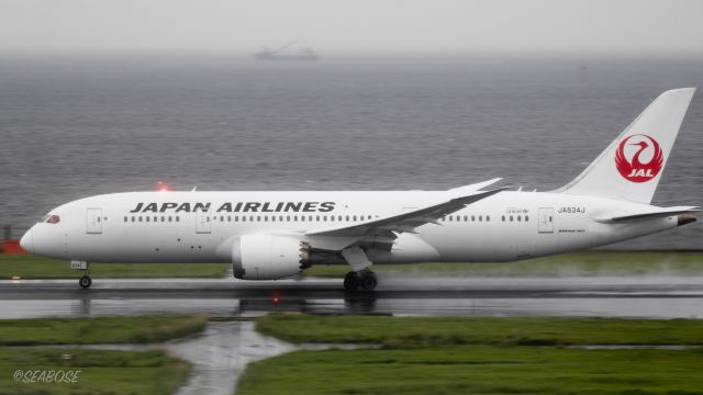 Boeing 787-8 (JA834J) - Japan Airlines JA834Jbr /87-8 Dreamliner / 787-846 br /September.17.2015 Tokyo International Airport [HND/RJTT] JAPAN