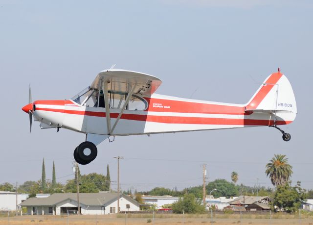 Piper L-21 Super Cub (N91005)