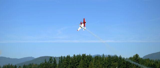 — — - Acrobatic flying at Arlingtons air show - July 2008