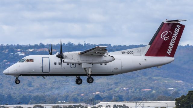 de Havilland Dash 8-100 (VH-QQD)