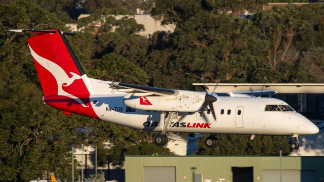 de Havilland Dash 8-200 (VH-TQS)