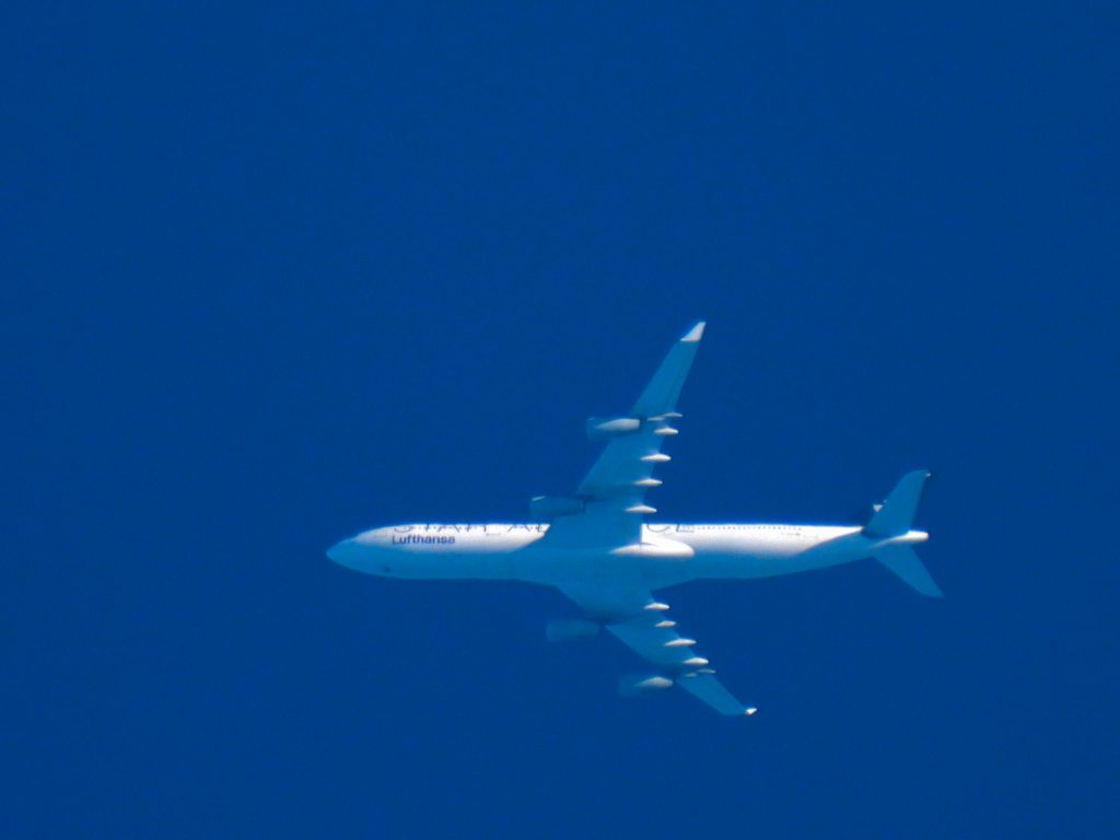 Airbus A340-300 (D-AIGP)